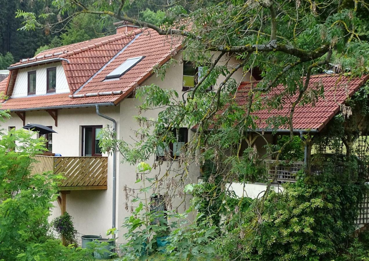 Ferienwohnung Am Berggrabenweg Илменау Екстериор снимка